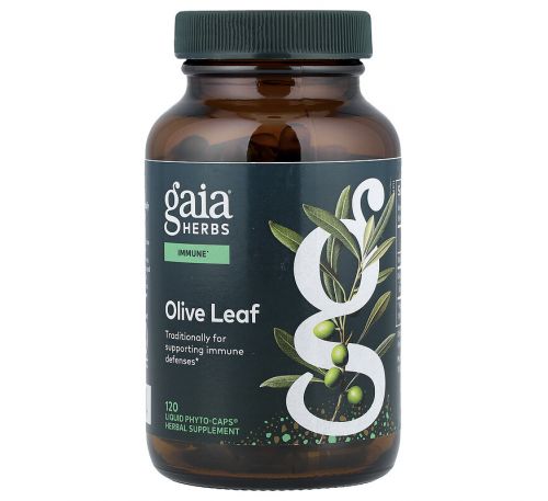 Gaia Herbs, Лист оливы, 120 жидких фито-капсул на растительной основе