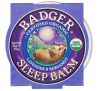 Badger Company, Бальзам перед сном, лаванда и бергамот, 0,75 унции (21 г)