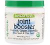 Beyond Fresh, Joint Booster, Tumeric, Ginger, Boswellia, Flax Seed & Chia Seed, Natural Ginger Flavor, 2.96 oz (84 g)