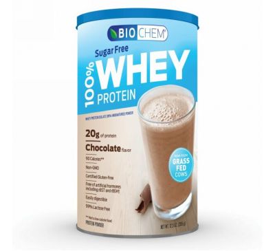 Biochem, 100% Whey Protein, Sugar Free, Chocolate Flavor, 12.5 oz (355 g)
