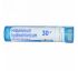 Boiron, Single Remedies, Гистаминовый дихлоргидрат, 30C, прибл. 80 гранул