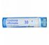 Boiron, Single Remedies, Хинное дерево, 30 С, прибл. 80 гранул Boiron, Single Remedies, Хинное дерево, 30 С, прибл. 80 гранул