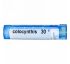 Boiron, Single Remedies, Колоцинт, 30C, прибл. 80 гранул Boiron, Single Remedies, Колоцинт, 30C, прибл. 80 гранул