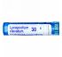 Boiron, Single Remedies, Плаун булавовидный, 30C, прибл. 80 гранул Boiron, Single Remedies, Плаун булавовидный, 30C, прибл. 80 гранул