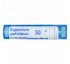 Boiron, Single Remedies, Посконник пронзённолистный, 30C, 80 гранул