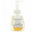 Deep Steep, Foaming Hand Wash, Honey Blossom, 8 fl oz (237 ml)