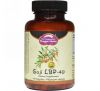 Dragon Herbs, Годжи LBP-40, 500 мг, 100 капсул