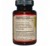 Dragon Herbs, Тонизирующая формула с Poria Five, 500 мг, 100 растительных капсул