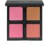 E.L.F. Cosmetics, Blush Palette, Light, Powder, 0.48 oz (13.6 g)