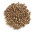 Frontier Natural Products, Цельный кориандр посевной, 16 унций (453 г) Frontier Natural Products, Цельный кориандр посевной, 16 унций (453 г)