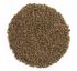 Frontier Natural Products, Органические цельные семена сельдерея 16 унции (453 г) Frontier Natural Products, Органические цельные семена сельдерея 16 унции (453 г)