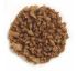 Frontier Natural Products, Органик Бак Анс, вегетарианские кусочки, 16 унций (453 г) Frontier Natural Products, Органик Бак Анс, вегетарианские кусочки, 16 унций (453 г)