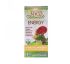 Fungi Perfecti, MycoBotanicals, Energy , 60 Vegetarian Capsules