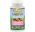 Fungi Perfecti, Траметес разноцветный, 60 вегетарианских капсул Fungi Perfecti, Траметес разноцветный, 60 вегетарианских капсул