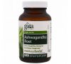 Gaia Herbs, Корень ашвагандхи, 120 веганских жидких фито-капсул
