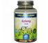 Nature's Herbs, Семя сельдерея, 100 капсул