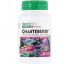 Nature's Plus, Herbal Actives, Chasteberry, 150 mg, 60 Vegetarian Capsules