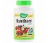 Nature's Way, Hawthorn Berries, 510 mg, 180 Vegetarian Capsules