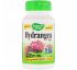 Nature's Way, Hydrangea Root, 370 mg, 100 Vegetarian Capsules