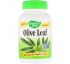 Nature's Way, Olive Leaf, 500 mg , 100 Vegetarian Capsules