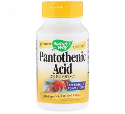 Nature's Way, Pantothenic Acid, 250 mg, 100 Capsules