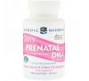 Nordic Naturals, Докозагексаеновая кислота для ежедневного приема во время беременности, 500 мг, 60 мягких капсул