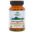 Organic India, Органическая ашвагандха, 90 растительных капсул