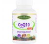 Paradise Herbs, CoQ10, Q-Veg, 60 Vegetarian Capsules