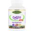 Paradise Herbs, CoQ10, Q-Veg, 60 Vegetarian Capsules Paradise Herbs, CoQ10, Q-Veg, 60 Vegetarian Capsules