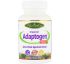 Paradise Herbs, Imperial Adaptogen, 60 капсул в растительной оболочке Paradise Herbs, Imperial Adaptogen, 60 капсул в растительной оболочке
