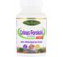 Paradise Herbs, Колеус форсколии, 60 капсул в растительной оболочке