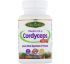 Paradise Herbs, Тибетский кордицепс CS-4, 60 вегетарианских капсул Paradise Herbs, Тибетский кордицепс CS-4, 60 вегетарианских капсул
