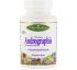 Paradise Herbs, Ultimate Andrographis, 60 Vegetarian Capsules Paradise Herbs, Ultimate Andrographis, 60 Vegetarian Capsules