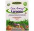Paradise Herbs, Зеленая пища "Энергия ORAC", 15 пакетиков по 6 г
