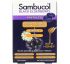 Sambucol, Пастилы с бузиной и медом, 20 штук Sambucol, Пастилы с бузиной и медом, 20 штук