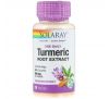 Solaray, Turmeric Root Extract, One Daily, 600 mg, 30 VegCaps