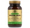 Solgar, Full Potency Herbs, Vegetal Silica, 100 Vegetable Capsules