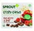Sprout Organic, Хрустящие тянучки, красные ягоды и свекла, 5 пакетиков по 0,63 унции (18 г) Sprout Organic, Хрустящие тянучки, красные ягоды и свекла, 5 пакетиков по 0,63 унции (18 г)