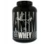 Universal Nutrition, Обогащенный животный сывороточный протеин, Шоколад, 5 фунтов (2,3 кг)