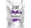 Zint, Beef Gelatin, Чистый Протеин, 16 унций (454г)